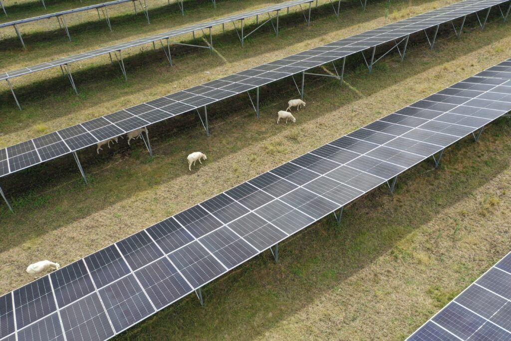 Aménagements pour la biodiversité et panneaux solaires à la centrale de Cessey-sur-Tille